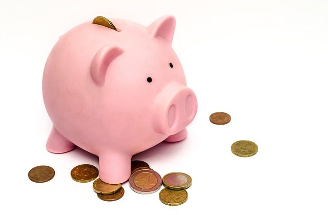Capacité d&rsquo;auto-financement : Indicateur de performance financière