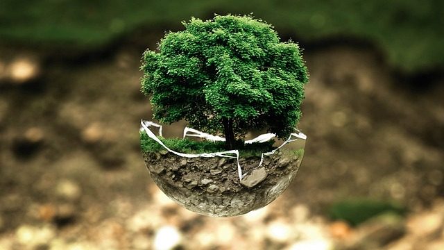 RGE (Reconnu Garant de l&rsquo;Environnement) : Synthèse de la règlementation