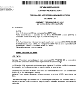 Jugement tribunal des activités économiques de Paris du 3 novembre 2025